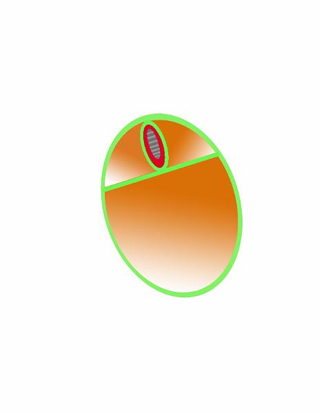 Petrariu Daniel&Radu Rusu.jpg